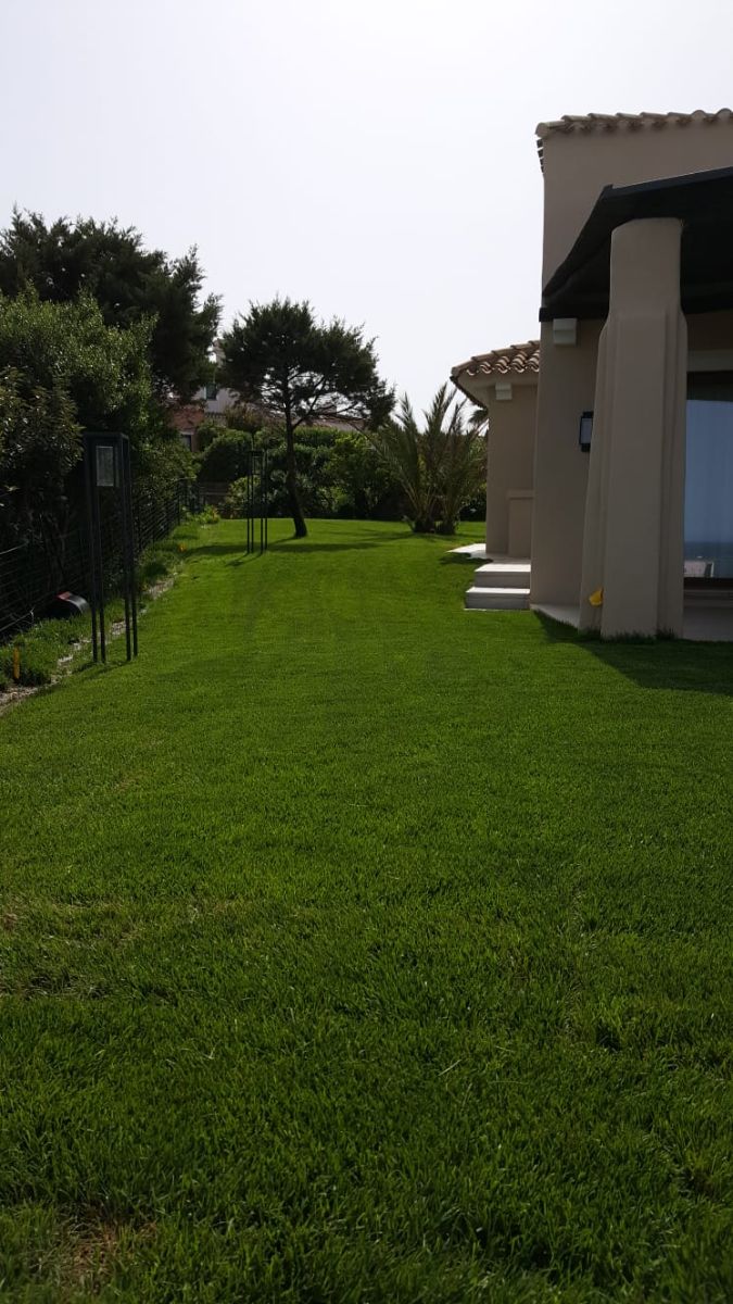 Piscina e siepe